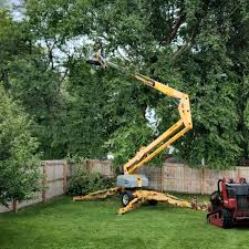 Artificial Turf Installation in Jeffersonville, KY